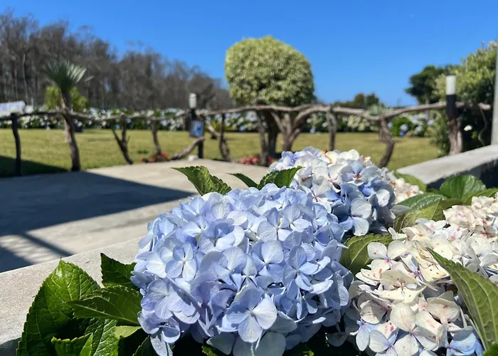 Dom wakacyjny Vm Sunset