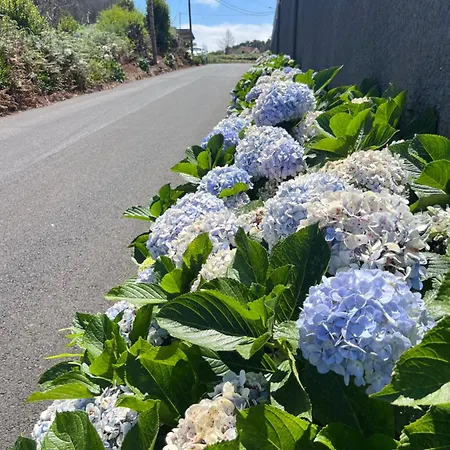 Vm Sunset 莫尼兹港