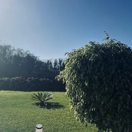 Vm Sunset * Порту-Мониш