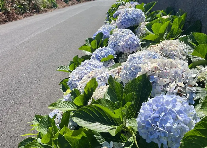 Vm Sunset Porto Moniz